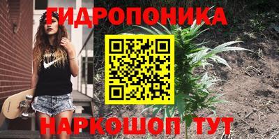 гашишное масло Заволжье